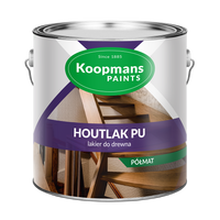 HOUTLAK PU PÓŁMAT /250mL