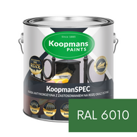 Farba antykorozyjna KoopmanSPEC RAL 6010 250ml