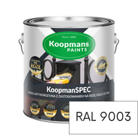Farba antykorozyjna KoopmanSPEC RAL 9003 5l