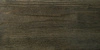 239 czarny dąb